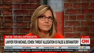 Alisyn Camerota Porn - Alisyn Camerota to Avenatti: If Stormy Was So Reluctant to Sleep With  Trump, 'Why Did She Do' It?