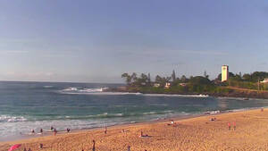 free live cam on beach voyeur - Waimea Bay Cam - Free Live HD Surf Camera | Explore.org