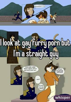 Gay Furry Cartoon Porn - I look at gay furry porn but I'm a straight guy