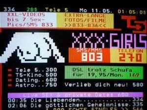 Early Internet Porn - This is a screenshot of a very early internet porn site (mildly NSFW) :  r/pics