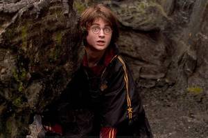 Harry Potter Goblet Of Fire Porn - Harry Potter wallpaper containing an alpinist titled From Goblet of Fire