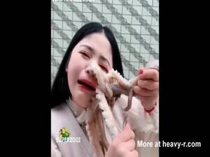 Japanese Octopus Porn Star - Japanese Octopus Tentacle Videos - Free Porn Videos