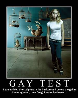Harry Potter Porn Captions - Harry Potter Gay Test Meme | Some Gay Blog