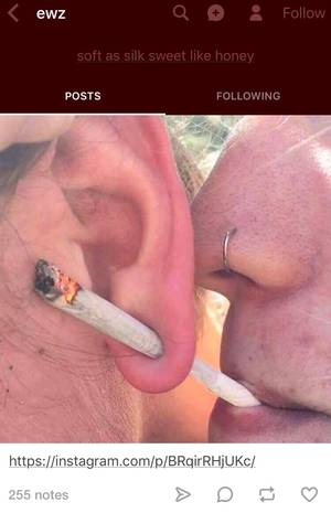 Definitely Not Porn - Definitely Not Porn