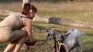 Goats Sex Movies - Skinny amateur tries to seduce a goat