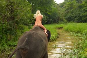 Elephant Sex With Girl - Naked Girl On An Elephant Porn Pic - EPORNER