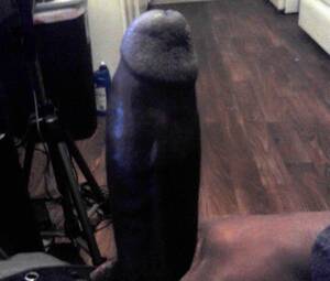 big juicy black cock - Big Black juicy cock looking for some wet tight pussy - Amateur Interracial  Porn