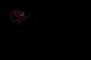 Holly Bennett Porn Gif - Holly Bennett Porn Gif | Sex Pictures Pass