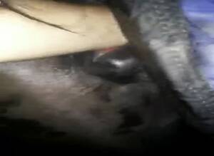 mare fisting videos - Midnight Mare Fisting Gaybeast Rip - Beastiality XXX Porn Tube - Zoo Porn  Horse, Zoo Porn With Men at Katitube