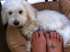 Brenda James Feet Porn - 1342227