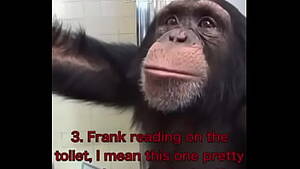 Man Has Sex With Monkey - Monkeys fucking with big cock. - XVIDEOS.COM
