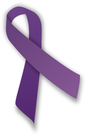 Martin Y Mae Ribbon Porn - Domestic violence - Wikipedia