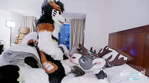 Big Titty Furry Orgy - Free Fursuit Porn | PornKai.com