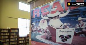 Brian Krause Porn - Texas House GOP members ask schools to not buy â€œpornographicâ€ materials |  The Texas Tribune