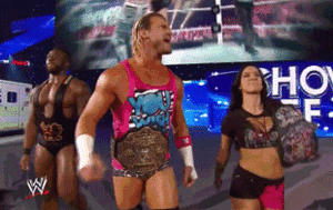 Aj Lee Gets Fucked - They had so much chemistry!!! On top of the world together fr : r/Wrasslin