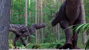 Male Female Dinosaur Porn - A sub-adult male Tarbosaurus attracts a female adult Tarbosaurus. : r/ Dinosaurs