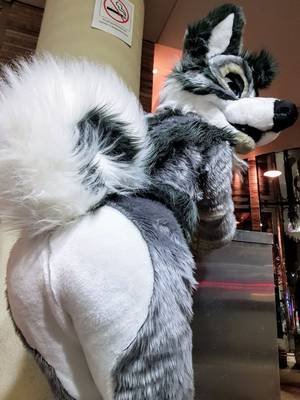 Glory Hole Furry Wolf Porn - Ð’ÑÑ‚Ñ€Ð¾ÐµÐ½Ð½Ð¾Ðµ