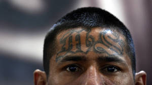 Mexican Cartel Sex Videos - 4 Things You Need to Know About MS-13 and This Mexican Cartel