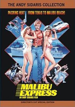 80s beach movies - Malibu Express - Wikipedia