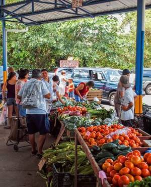 Market - Farmer's Market, Panama