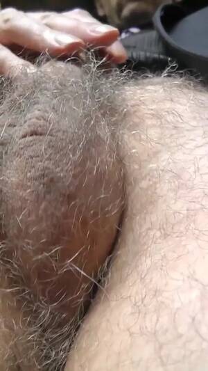 hairy cock and balls - EDGEWORTH JOHNSTONE Suit Bouncing My Hairy Balls and Cock in Your Face POV  - Business man closeup watch online