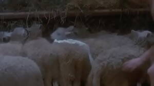 Interracial Porn The Barn - Black guy fucks white girl in barn - XNXX.COM