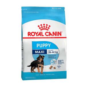 Futanari Amy Rose Porn - Royal Canin Perro Maxi Puppy x 3 kg - El Arca Rosario