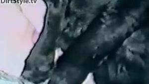 Doggie Cock - suck dog Animal Porn