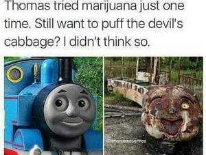 Fairy Tail Porn Marijuana - Browse new photos about Not even once . Most Awesome Funny Photos Everyday!