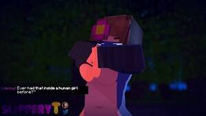 Minecraft Sex Animation Porn - Hentai Minecraft porn videos - XAnimu.com