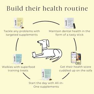 clips4sale anal - Anal Gland