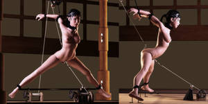 hentai bdsm anal - Hentai bdsm anal torture