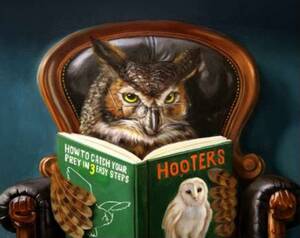 Animal Porn Art - Owl Porn by Lucia Heffernan Art Print Animal Owl Wall Decor - Etsy Ireland