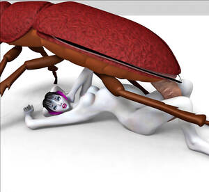 3d Huge Insect - Hot horned elf girl getting fucked by a huge bug monster | Porncraft 3d