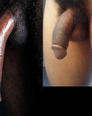 Dicks Porn Bbc - Dick compared to bbc Porn Pictures, XXX Photos, Sex Images #1425100 - PICTOA