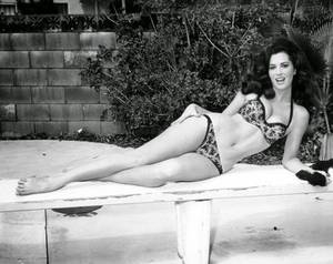 Edy Williams Porn Star Classic - Vintage Glamour Girls: Edy Williams