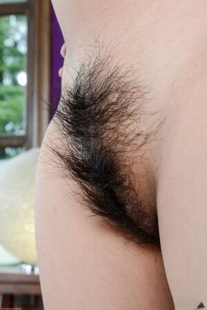 Asian Hairy Porn - Hairy Asian Pussy Porn Pics - PornPics.com