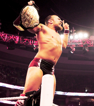 Daniel Bryan Porn - thumbs.pro : You're Welcome