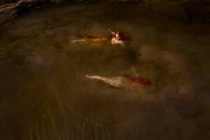 european shemale hannah sweden - News - Lilli Waters