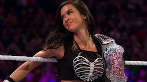 Aj Lee Hardcore Porn - Wrestling Wrap Up: AJ Lee Retires from the Ring