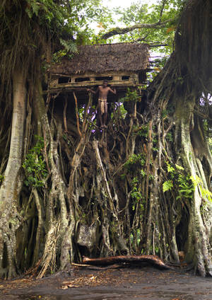 Gay Porn Brazilian Jungle Tribes - Circumcision ...