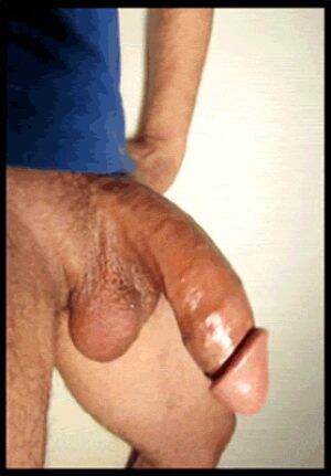 huge penis soft to hard - Blowjob Huge Cock Soft to Hard