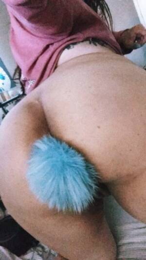 Anal Tail Plug Selfie - Tail Butt Plug Porn Photos - EPORNER