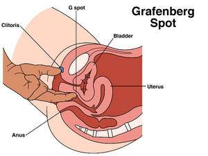 how to find g spot - G-spot & The Female Orgasm
