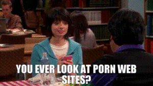 Big Bang Theory Porn Meme - YARN | You ever look at porn Web sites? | The Big Bang Theory (2007) -  S06E18 The Contractual Obligation Implementation | Video clips by quotes |  f2828b91 | ç´—