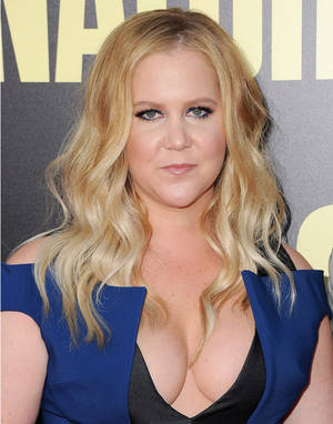 Amy Schumer Naked Pussy - Amy Schumer