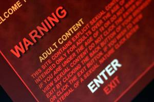 Blocked - Adults will have to 'opt in' to access online pornography sites  (Martyn