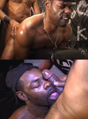 Black Breeders Porn - Black Breeders | Black Gay Porn, Gay Thugs, Latin Gay Porn