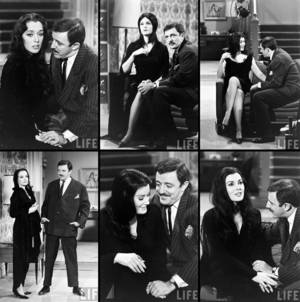 Morticia Addams Sex - Casting Morticia Addams