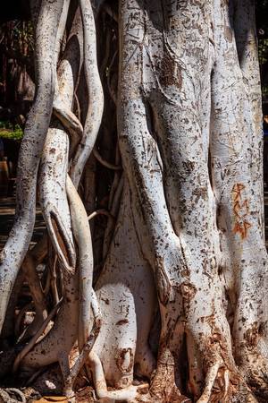 Kahului And Kihei Hawaii - Maui